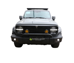 GWM Tank 300 Nudge Bar